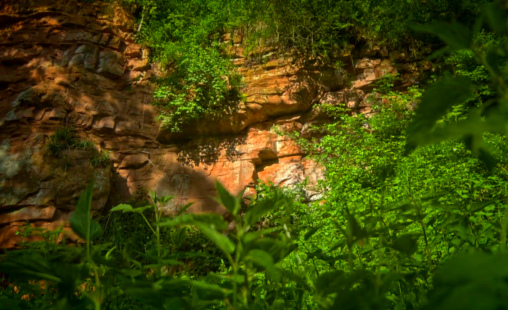Naturdenkmal Dohlenfelsen in Frankenberg Eder.